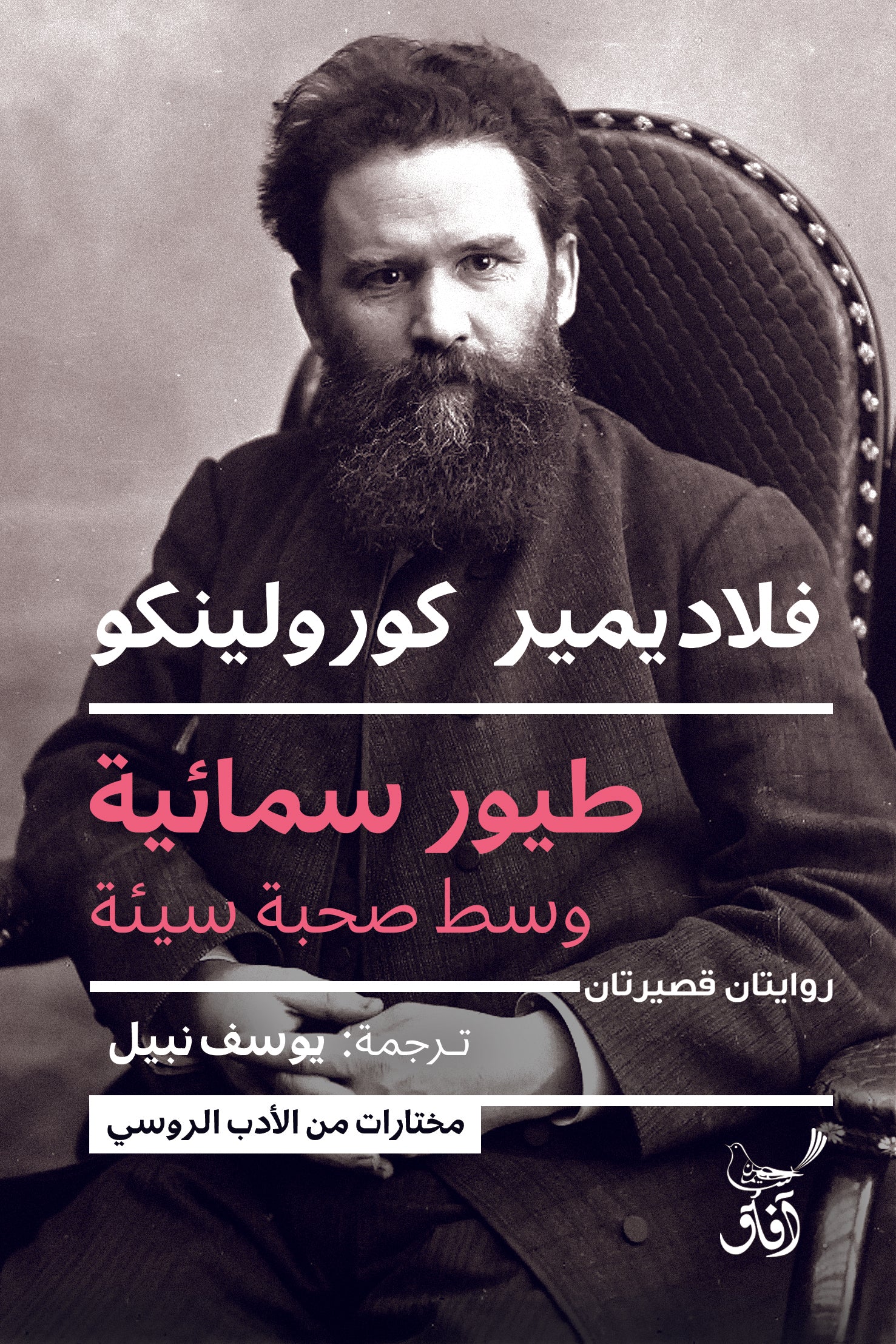 طيور سمائية.. وسط صحبة سيئة-1