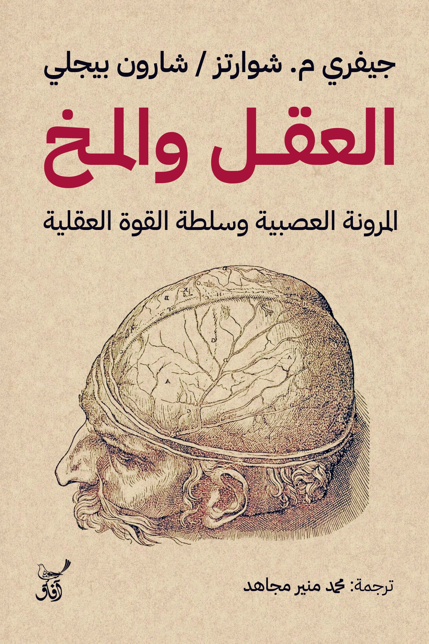 العقل والمخ: المرونة العصبية وسلطة القوة العقلية